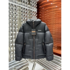 Zegna Down Jackets